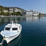Minoa トロン